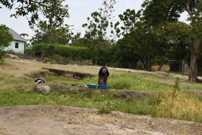 DSC_3136 (Large).JPG